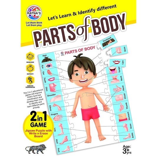 Human Anatomy Puzzle | Puzzle Pieces Detail