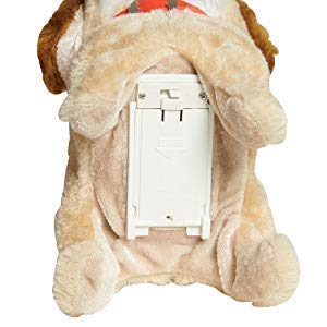 https://m.media-amazon.com/images/I/313ShRKZ-aL.jpg