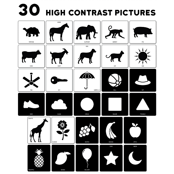 https://www.bbassets.com/media/uploads/p/xl/40358759-3_1-play-panda-high-contrast-baby-flash-15-cards-with-30-pictures.jpg