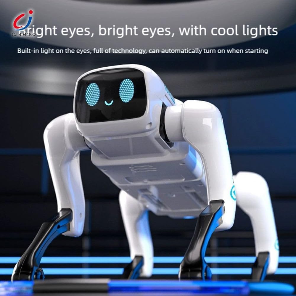 https://m.media-amazon.com/images/I/61OjKWRbr3L._SL1000_.jpg
