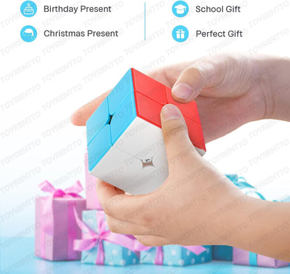 Puzzle Toy for Beginners and Professionals