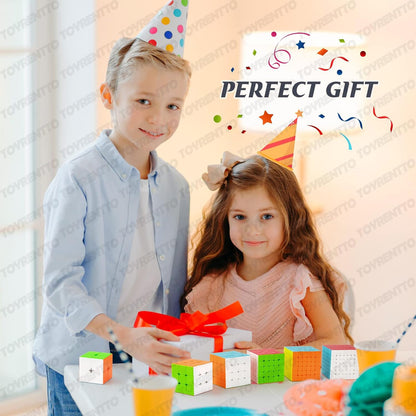 Puzzle Toy for Beginners and Professionals