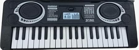 BIGFUN Electronic Keyboard 37 KEYS