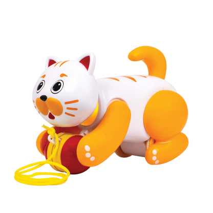 My Pet Billy Cat | Detail View