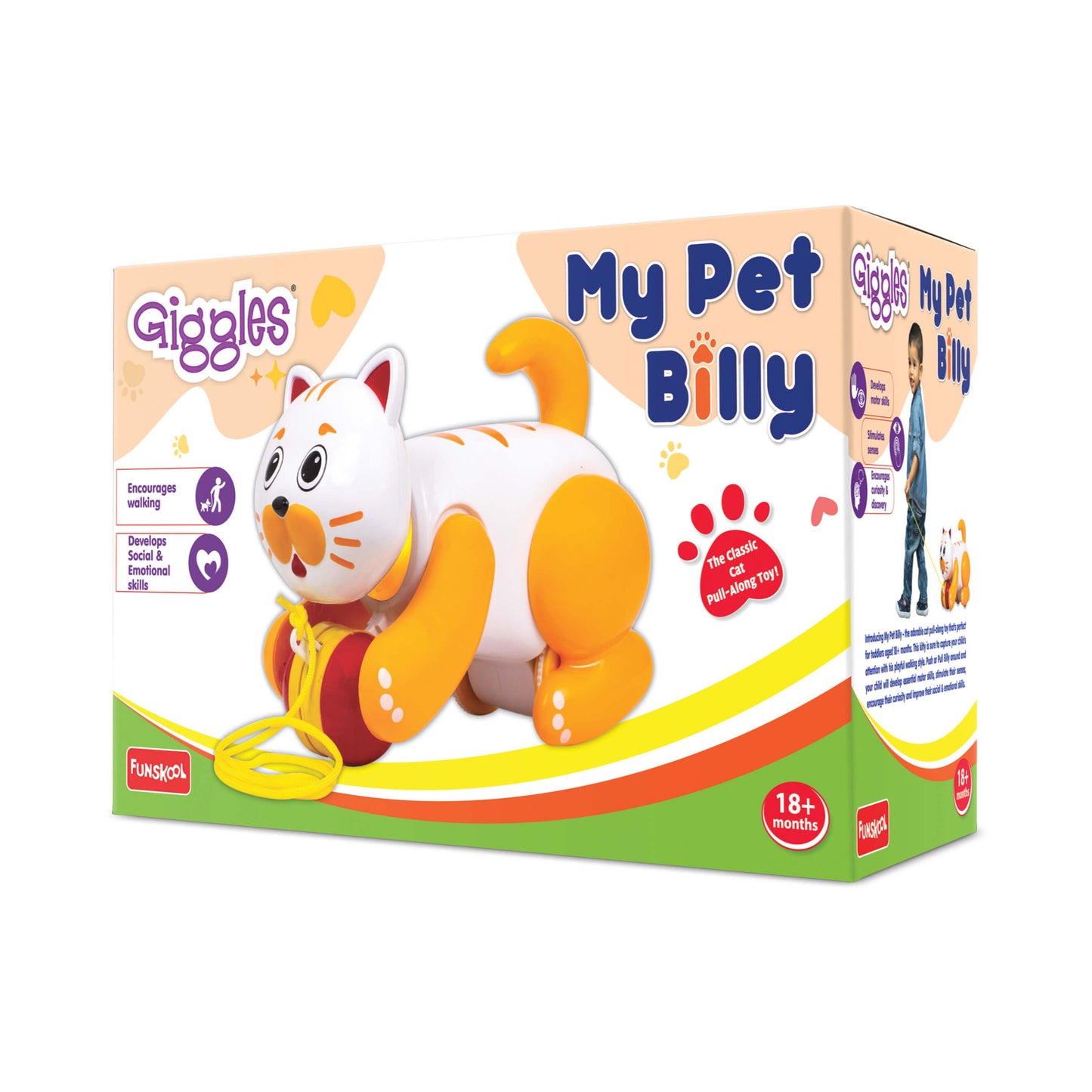 My Pet Billy Cat | Box Front Detail