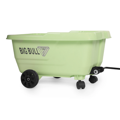 Toy House EV NIU Ride-On Scooter with Trailer for Kids EV06-Green - Age 3+