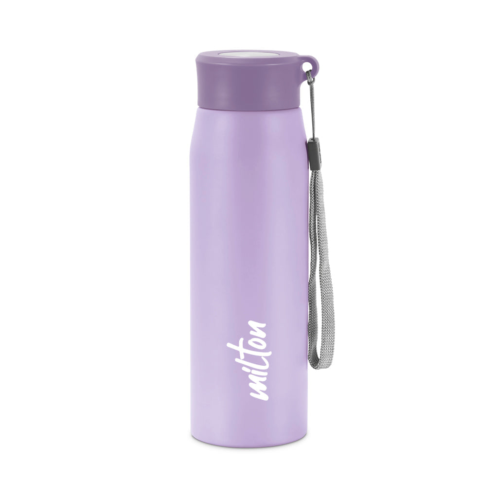 Milton Handy Stainless Steel Water Bottle
