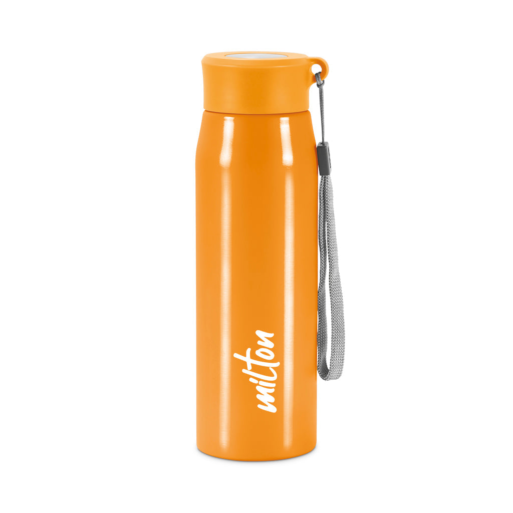 Milton Handy Stainless Steel Water Bottle