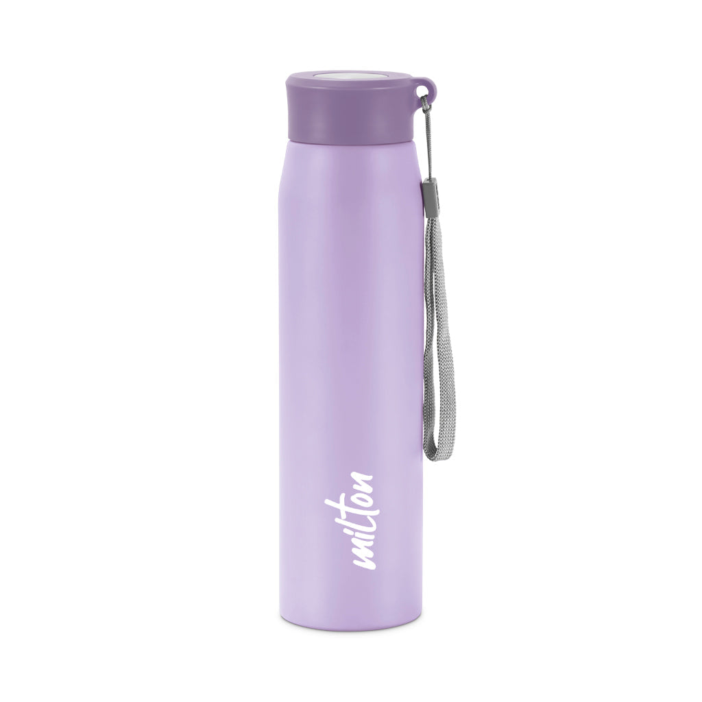 Milton Handy Stainless Steel Water Bottle