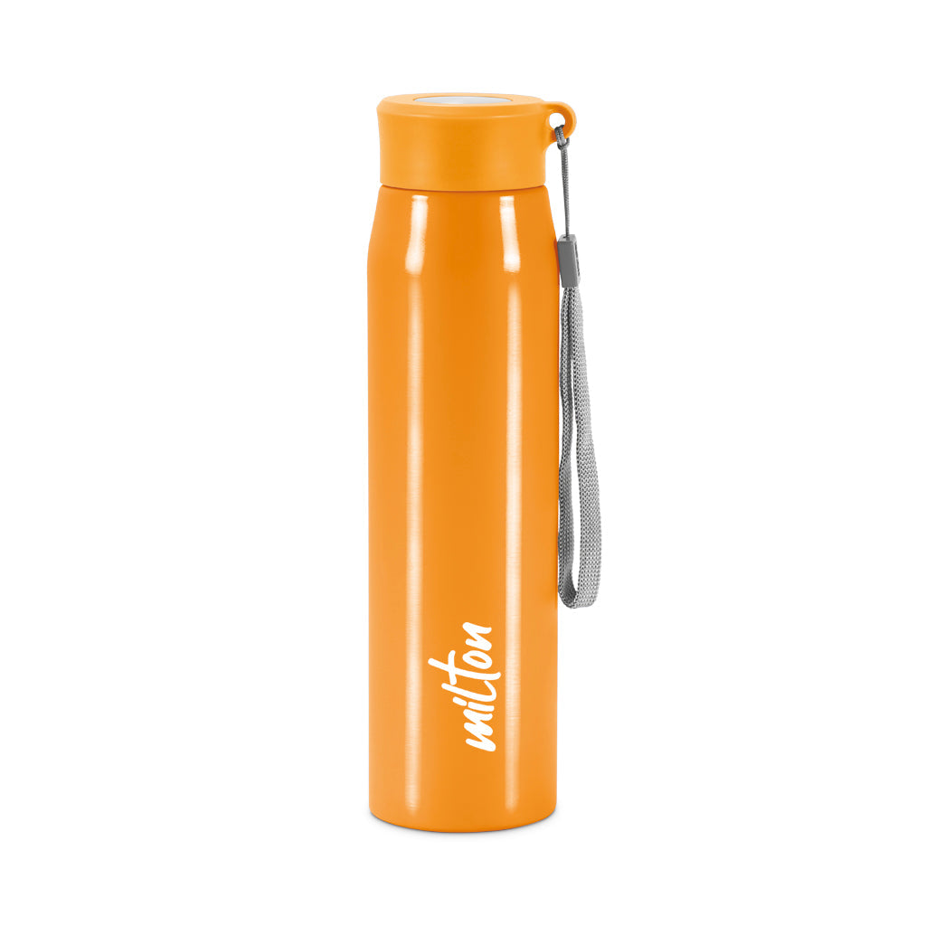 Milton Handy Stainless Steel Water Bottle