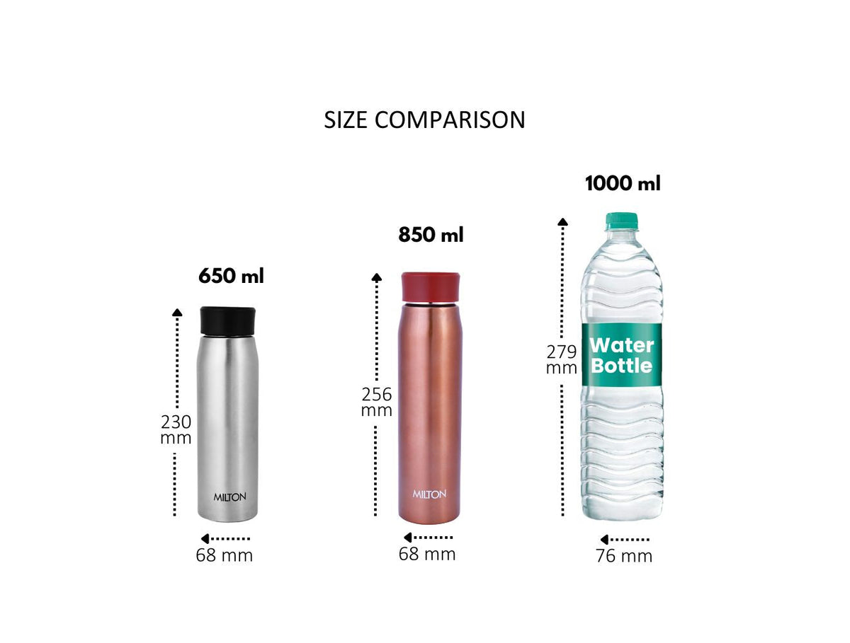 Milton Handy Stainless Steel Water Bottle