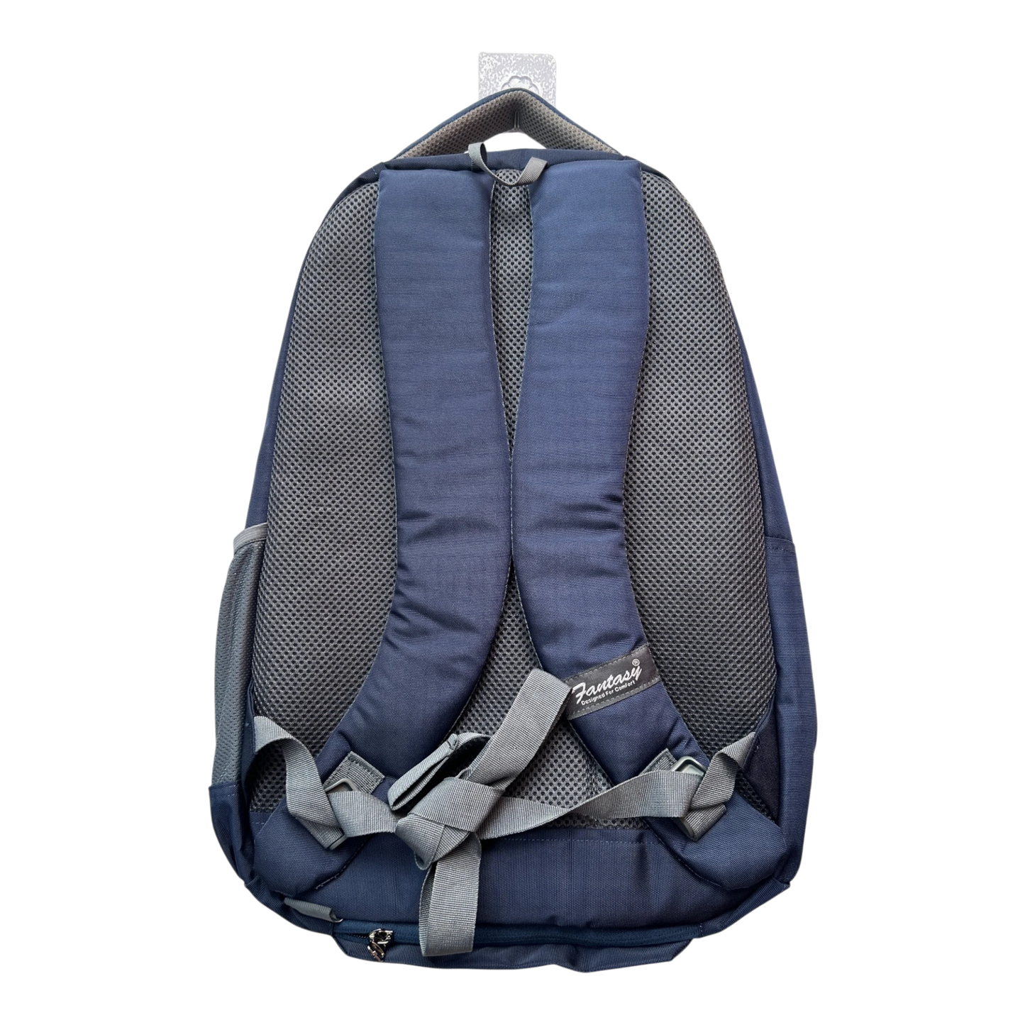 Fantasy School and College Backpack (Height 20 inches) FT01
