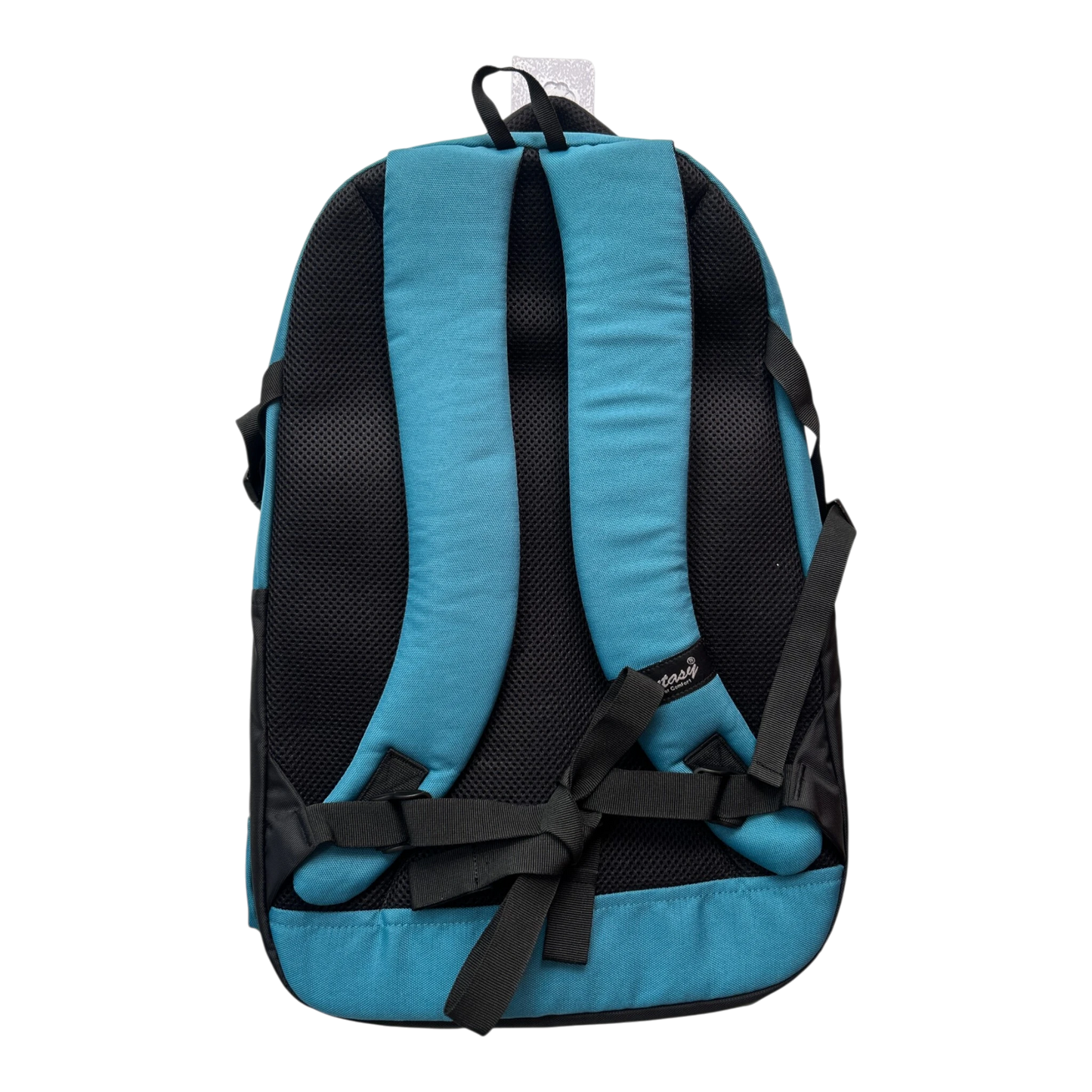 Fantasy School and College Backpack (Height 20 inches) FT04