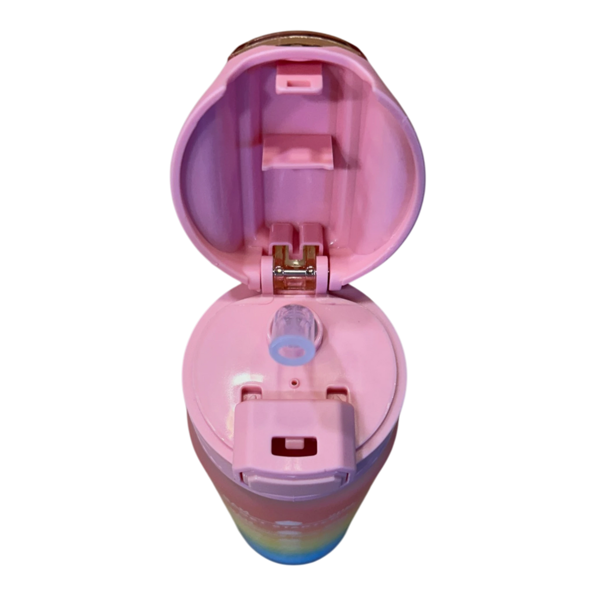 Motivational Water Bottle Set | Sipper Straw Detail