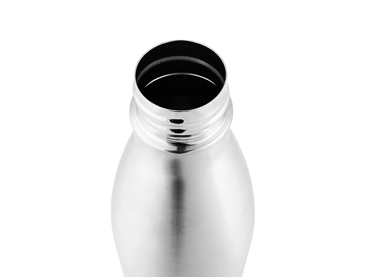 Milton Shine Stainless Steel Water Bottle