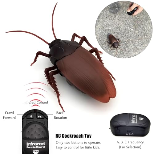 RC Cockroach Prank Toy | Detail View