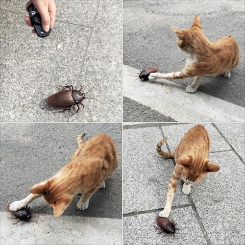 RC Cockroach Prank Toy | Remote Control Detail