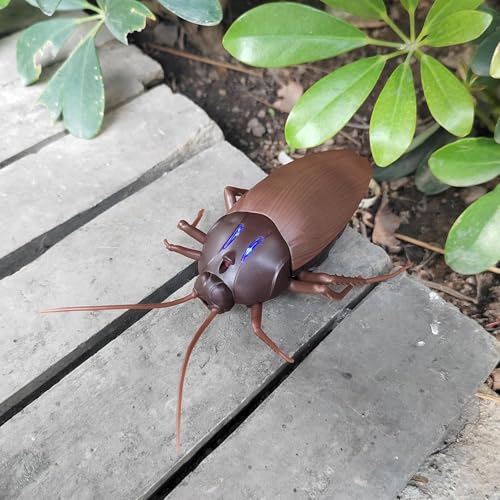 RC Cockroach Prank Toy | Packaging View