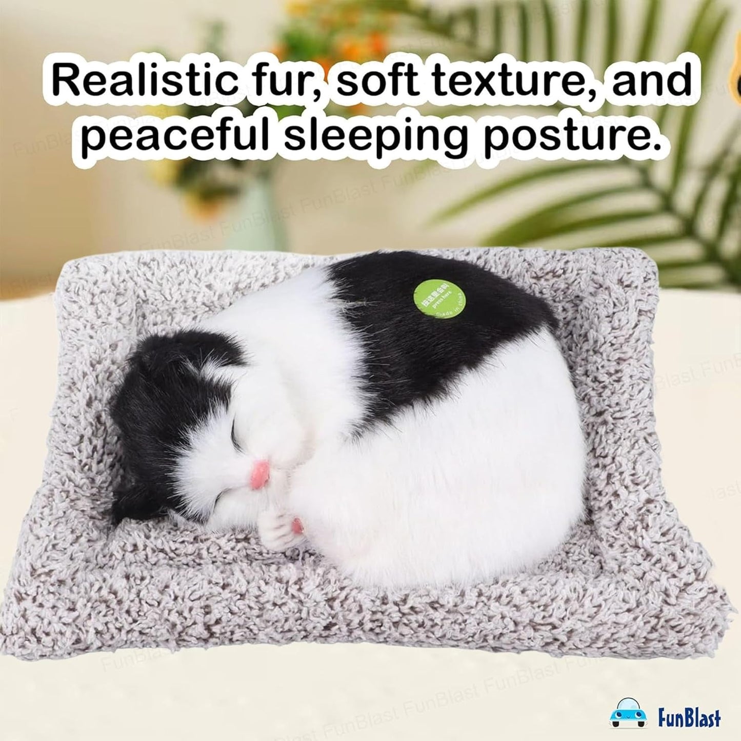 TIPTOP Sleeping Cat Plush Toy | Size Reference