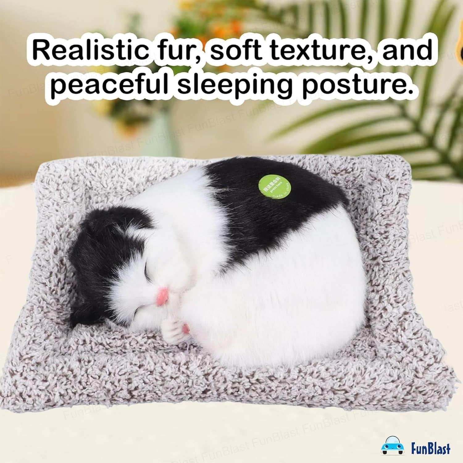 TIPTOP Sleeping Cat Plush Toy | Size Reference