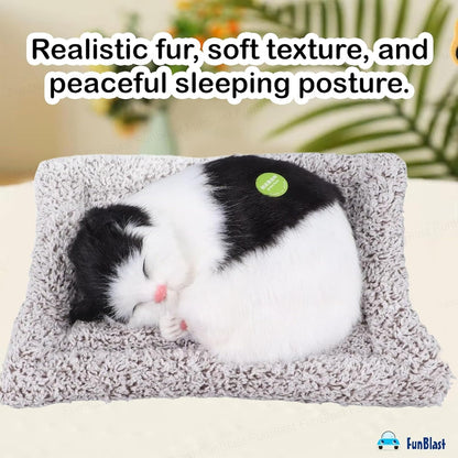TIPTOP Sleeping Cat Plush Toy | Size Reference