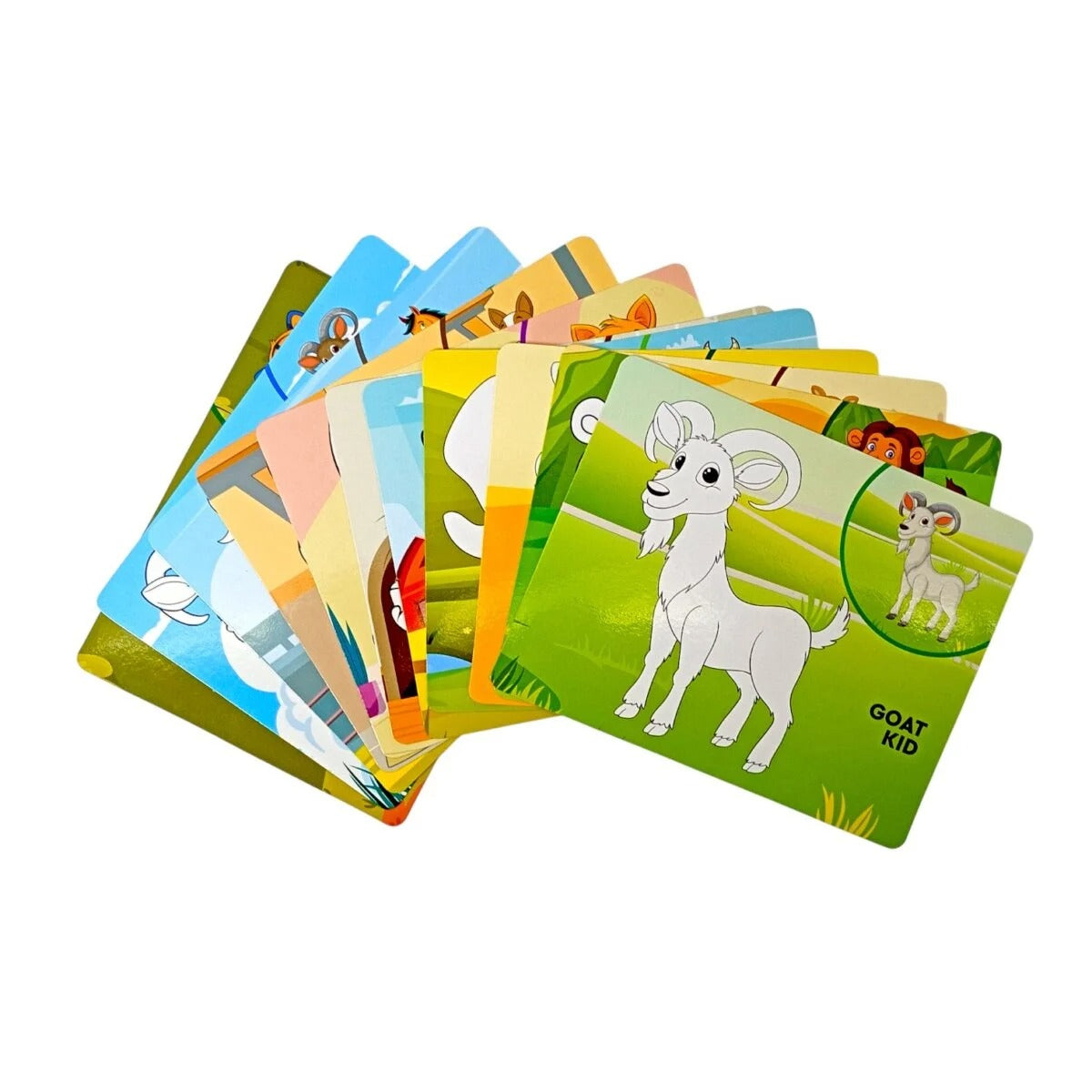 Ratna's Reusable Animals Colouring Kit with Wipe-Clean Markers for Kids